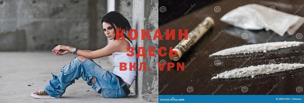 МДПВ Снежинск