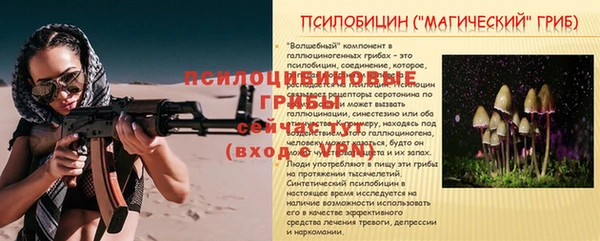 соль ск Бронницы