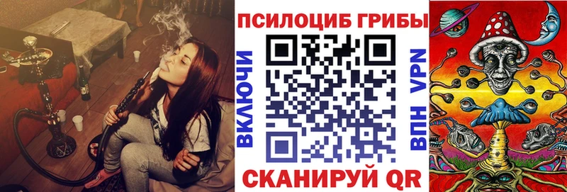 где можно купить   мориарти как зайти  Псилоцибиновые грибы мухоморы  Туймазы 